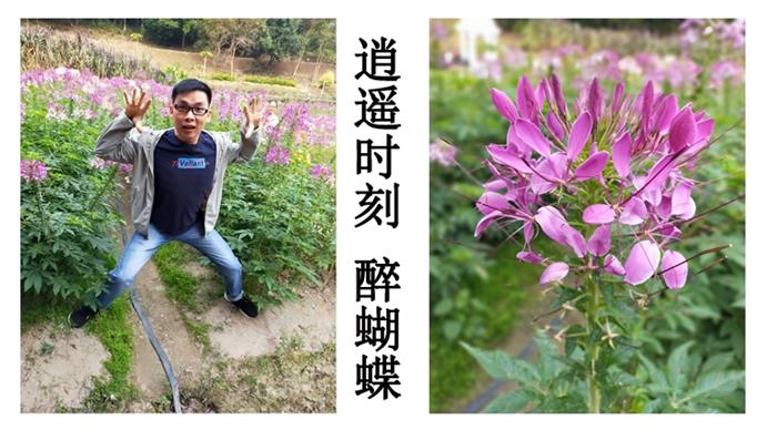 新葡萄8883官网AMG南昆山白水寨冬季出游！