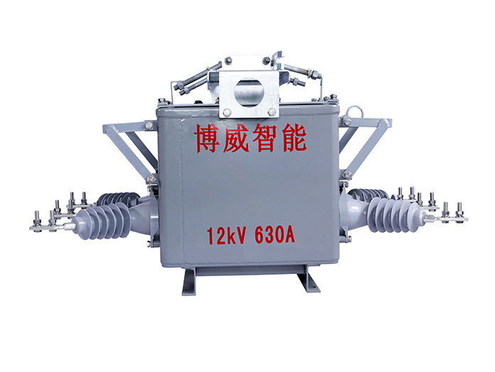 ZW20-12 户外真空断路器（用户分界）